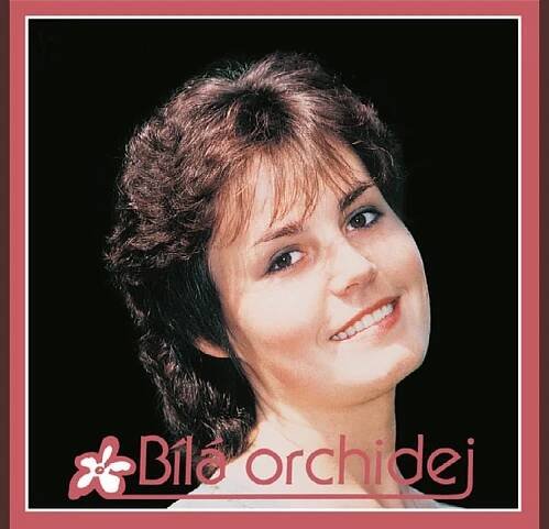 Bílá orchidej