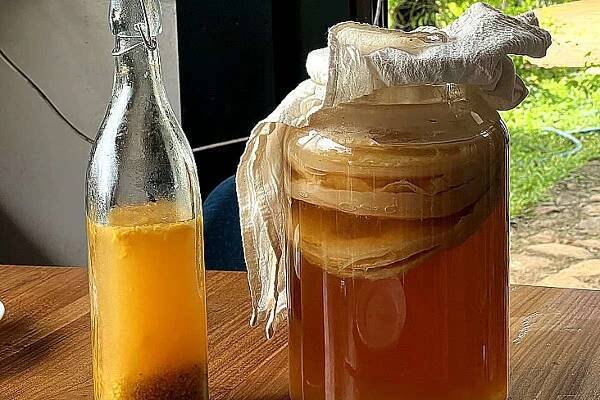Kombucha