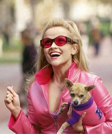 Reese Witherspoon in Pravá blondýnka (2001)