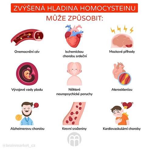 Co je homocystein a jak snížit jeho hladinu?
