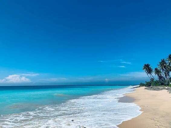 Srí Lanka | Tagua Tours