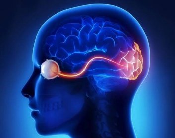 Poranění zrakového nervu: příznaky, diagnostika a léčba zánětu zrakového nervu