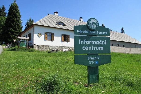 Mrazová kotlina Luzenského údolí na Šumavě modeluje stromy | Regiony