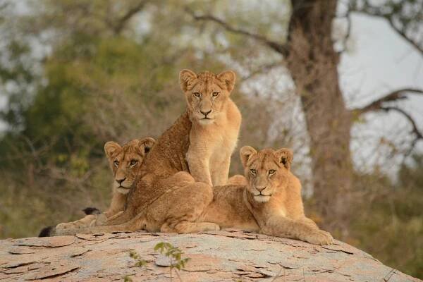 When to go to Africa