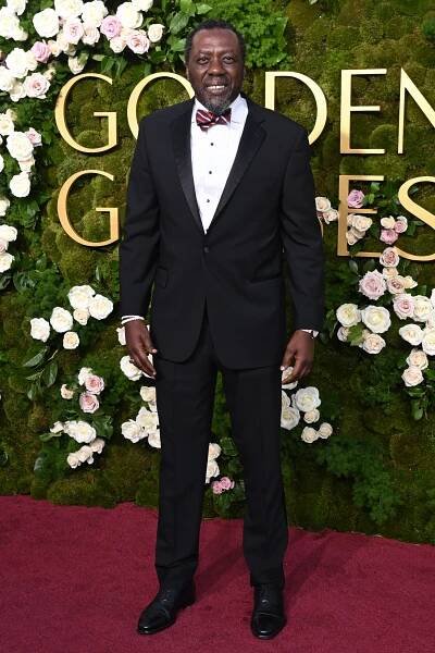 Golden Globes 2025 Red Carpet: See All The Looks