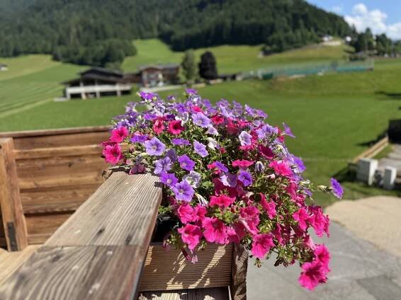 Sommer i tyrol