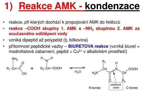 PPT - Aminokyseliny PowerPoint Presentation, free download - ID:3901021