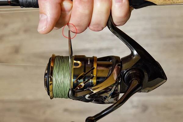 Daiwa Certate vs Shimano Twin Power | MRK.cz