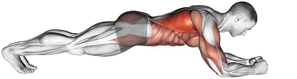 body saw plank