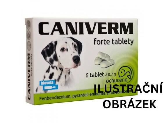 Caniverm forte tbl 6 x 0,7 g