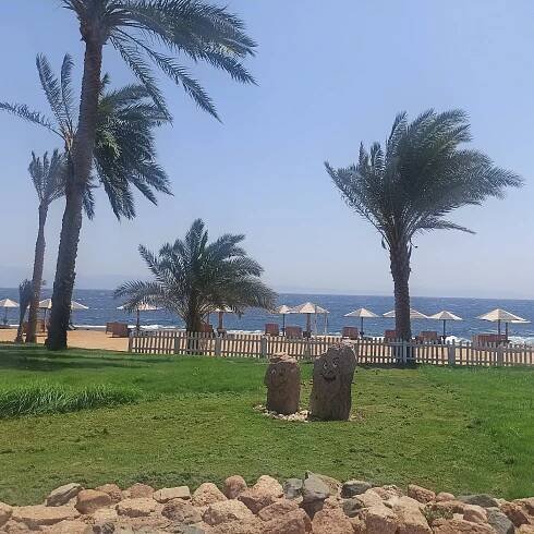 TROPITEL DAHAB OASIS - Updated 2025 Prices & Hotel Reviews (Egypt)