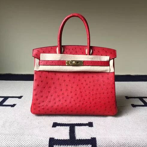 Hermes Ostrich Birkin – H Factory Birkin