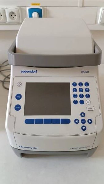 Eppendorf MasterCycler Nexus Gradient 1