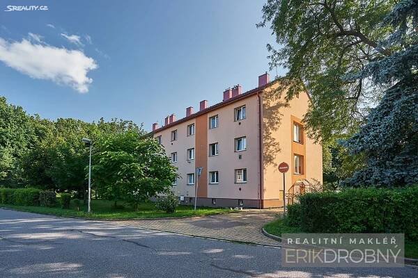 Pronájem Byt 1+1, Čapkova, Rybitví