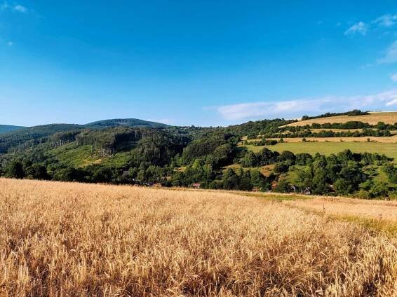 Stará Turá - Topolecká