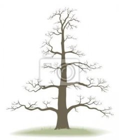 Strom života - genealogie