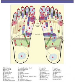 Mapa reflexních zon chodidel | fyto-kosmetika. Prodej přírodní certifikované kosmetiky a ekodrogerie