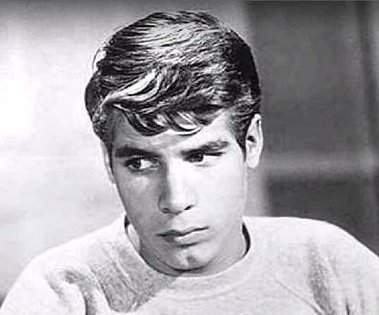 Don Grady