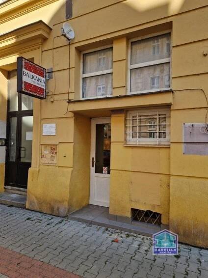 Nebytové prostory Plzeň - Jižní Předměstí, Skrétova ul., obrázek č.6