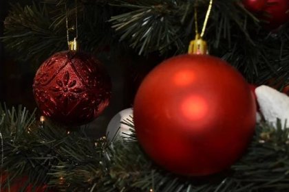 rozostření, vánoční strom, zaměření, předsazení, ornament, kola, svítí, dekorace, oslava, koule