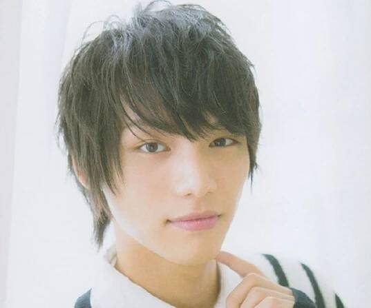 Sota Fukushi - Bio, Facts, Family Life of Japanese Actor