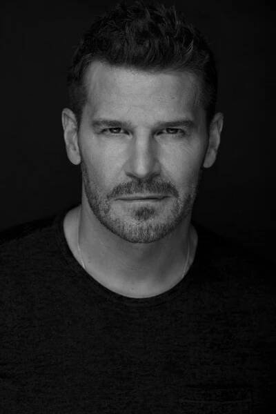 International Stars – Manfred Baumann