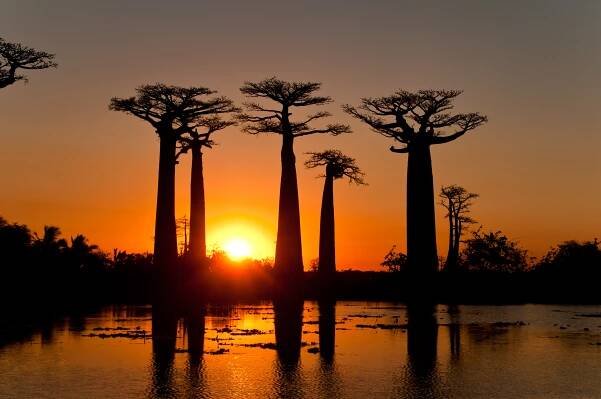 Madagaskar - zájezdy podle Vašeho přání - DOVOLENÁ SNŮ