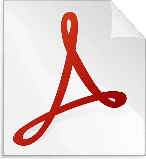PDF Icon web