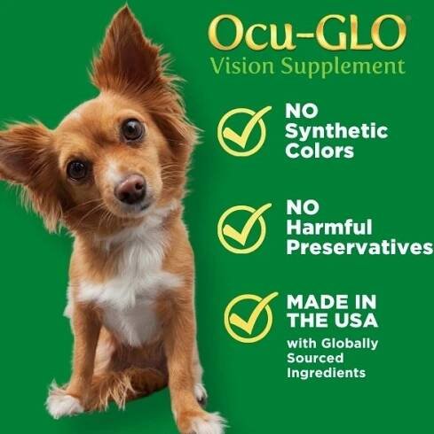 ANIMAL NECESSITY Ocu-GLO Vision Supplement for Medium & Large Dogs, 45 count - Chewy.com