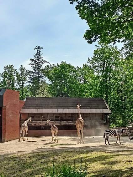 Návštěva ZOO | ZŠ Ostašov