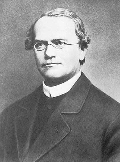 Mendel