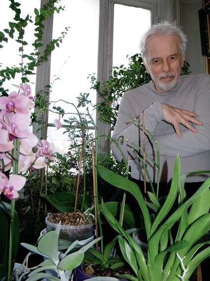 Psychomagic Alejandro Jodorowsky - purple MAGAZINE