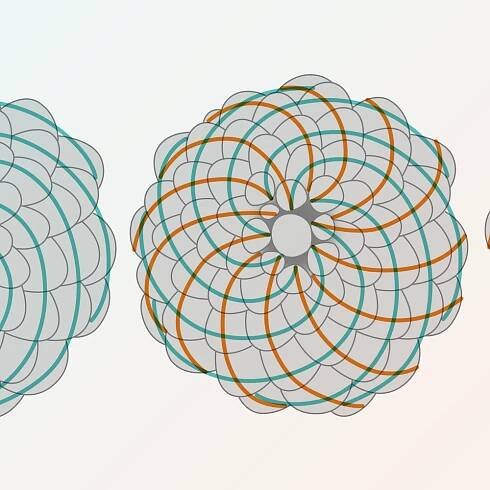 Students Find Hidden Fibonacci Sequence in Classic Probability Puzzle