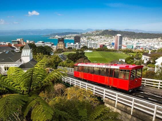 Wellington 2025