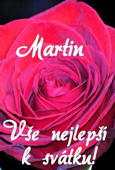 Přání k svátku Martin. #Martin | Diy and crafts, Rose, Crafts