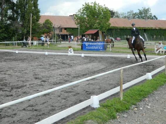 Mistrovství HK kraje v dřezuře koní JK Jeřice dne 1.6.2019 - Oficiální stránky obce Jeřice