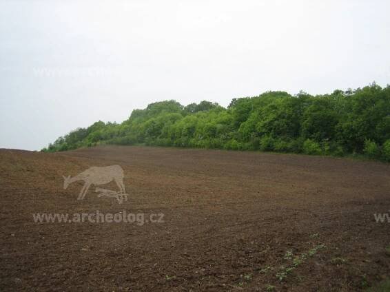 Stradonice, oppidum Hradiště - archeolog.cz