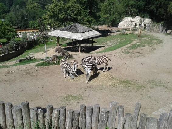 Parlamenťáci v ZOO Jihlava | Základní škola a Mateřská škola Deblín