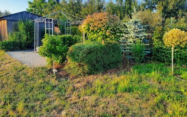 Zahrady, Dolany, 1 000 m²