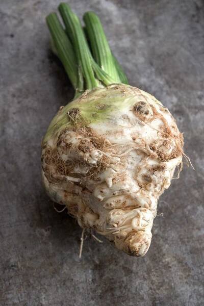 Celery Root