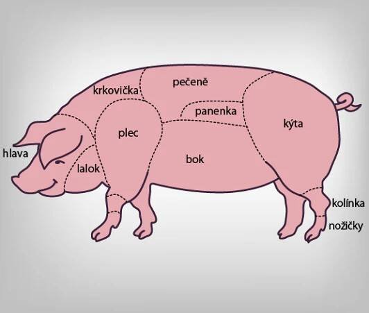 Chlazené a mražené maso | GROSSFISCH s.r.o.