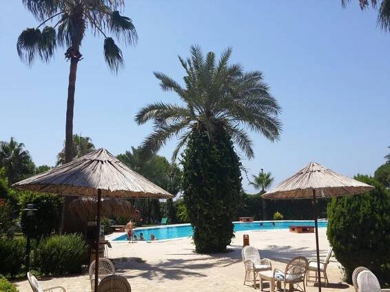 Bazén v ubytování Club Turtas Beach - All Inclusive nebo v jeho okolí