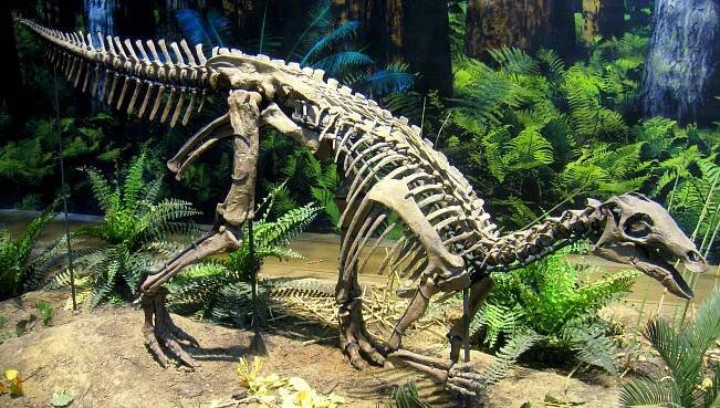 Uteodon