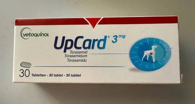 Up Card 3mg, 30 tbl.
