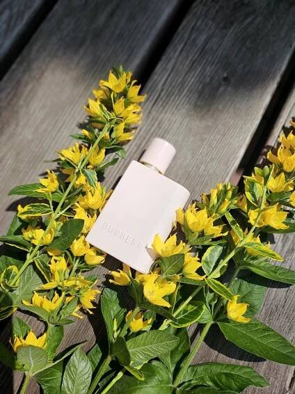 Burberry Her Elixir de Parfum Burberry pro ženy