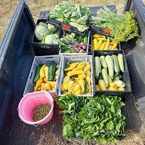 Calendar2023 — Dallas Youth Garden
