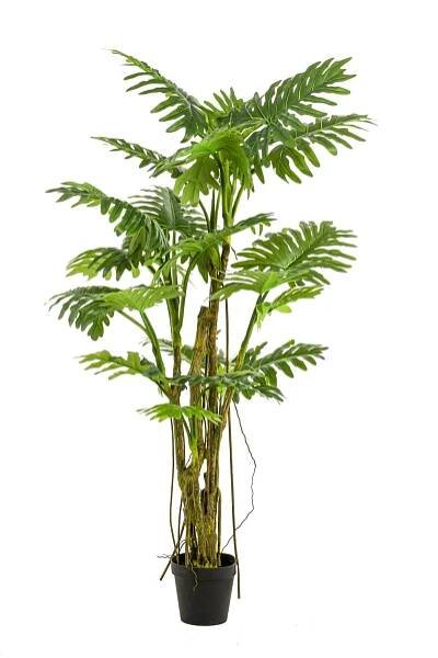 Umělý filodendron selloum EDHEM, 195cm