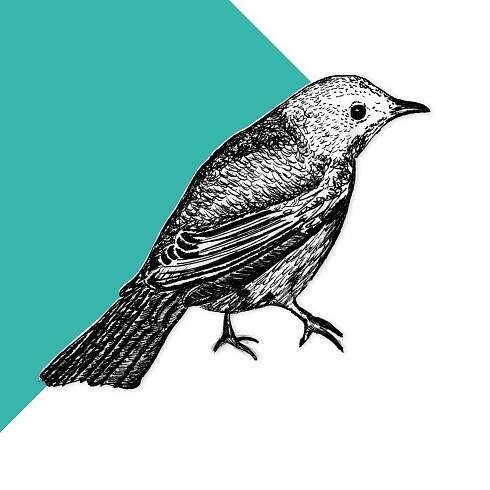 Nightingale