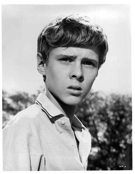 Jay North, "Dennis the Menace" Star, Dies at 73: Farewell to a Childhood Icon - BurnsVet
