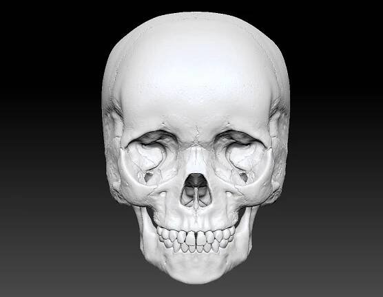 Art of Joseph Alexander Wraith - Child Skull